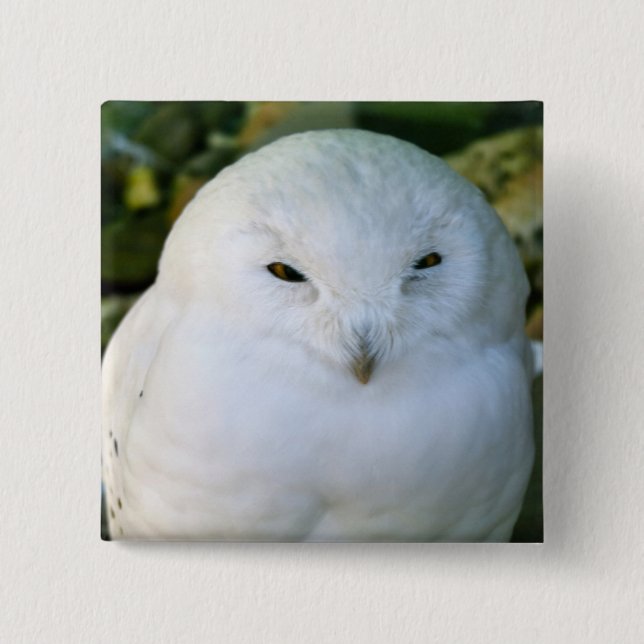 Schneeeule Button (Vorderseite)