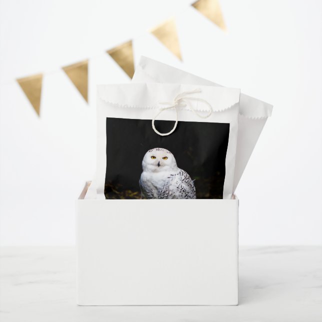Schneeeule Geschenktütchen (Party)