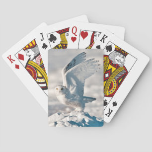 Schneeeule hebt von Schnee ab Spielkarten
