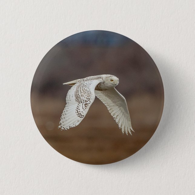 Schneeeule im Flug Button (Vorderseite)