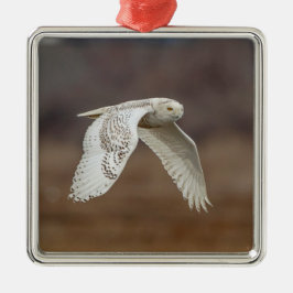 Schneeeule im Flug Silbernes Ornament