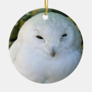 Schneeeule Keramik Ornament