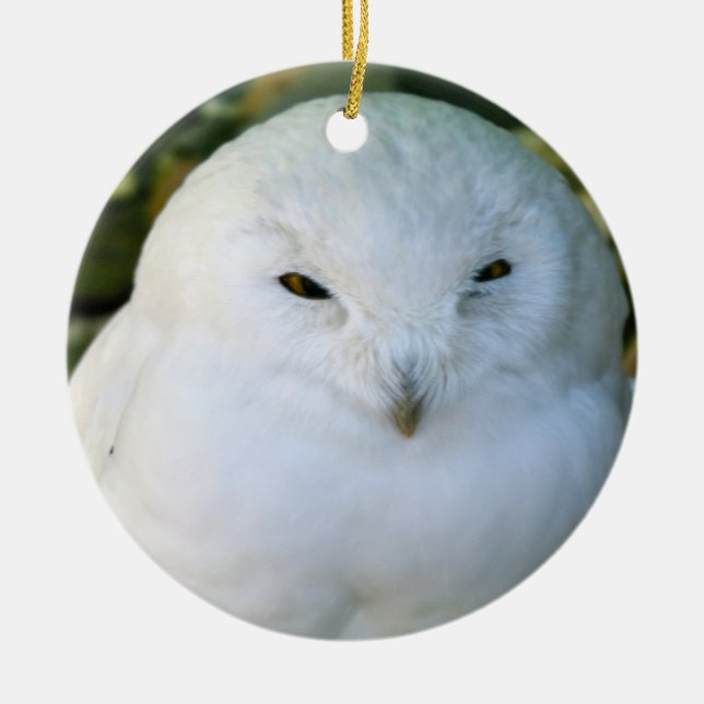 Schneeeule Keramik Ornament (Vorne)