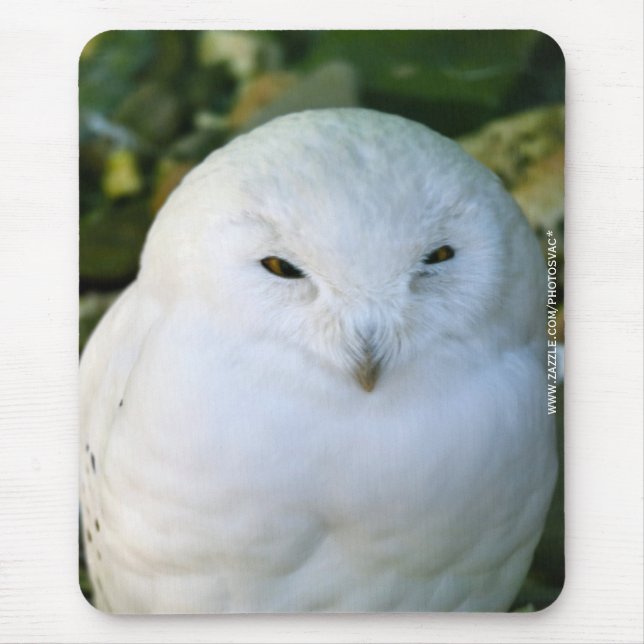 Schneeeule Mousepad (Vorne)