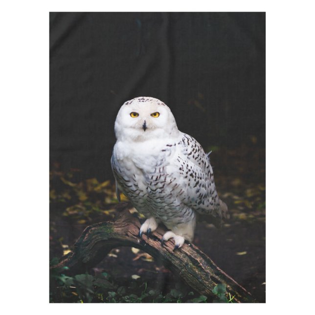 Schneeeule Tischdecke (Vorderseite)