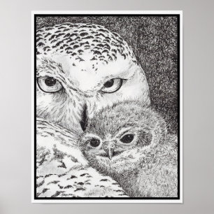 Schneeeule und Baby-Eule Poster