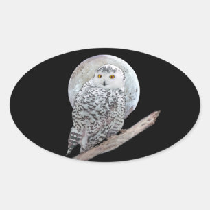 Schneeeule und Mond Gemälde - Originale Vogel Kuns Ovaler Aufkleber