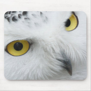 Schneeeulenaugen Mousepad