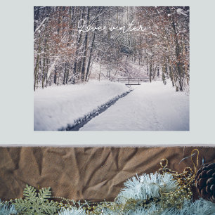 Schneefall beim Parkwurf Poster