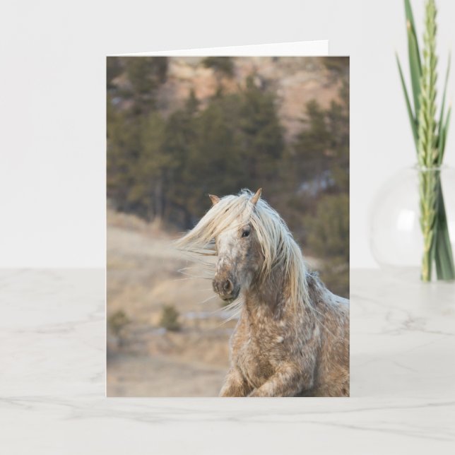 Schneefall - Galloping to Freedom Grußkarte Karte (Vorderseite)