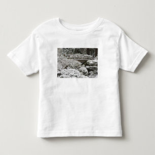 Schneefall im Portland Japanese Garden, Kleinkind T-shirt