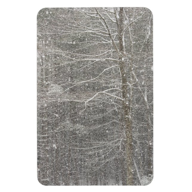 Schneefall Magnet (Vertikal)