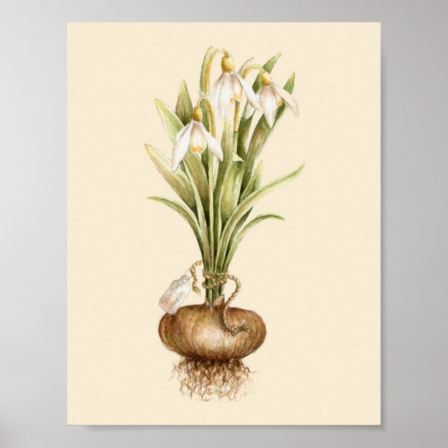 Schneefall - Poster (Vorne)