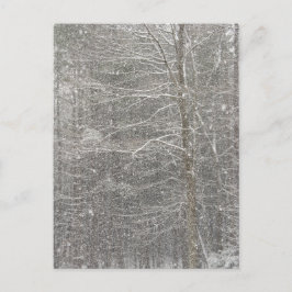 Schneefall Postkarte