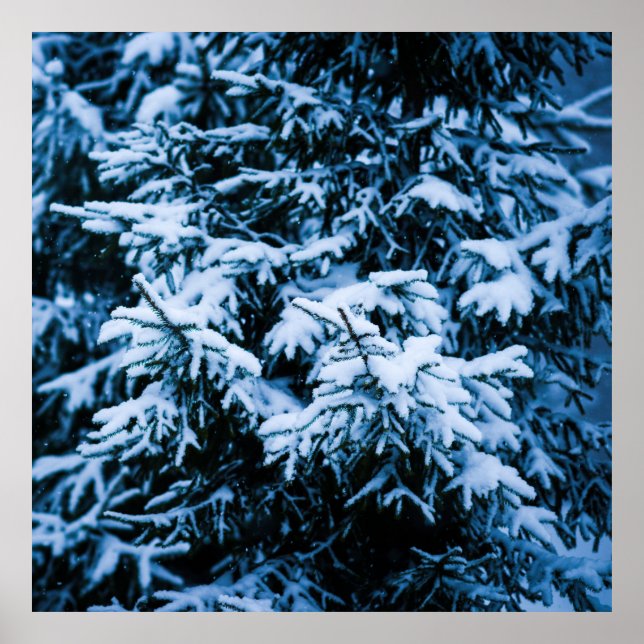 Schneefall Winter Weihnachtsbaum Poster (Vorne)
