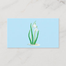 Schneefälle (Galanthus nivalis) Frühlingsblumen