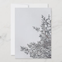 Schneefichte, skandinavische Weihnachtsästhetik