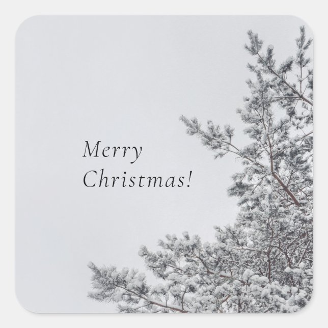 Schneefichte, skandinavische Weihnachtsästhetik Quadratischer Aufkleber (Vorderseite)