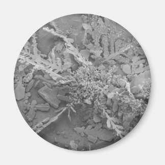 Schneeflocke 1 magnet