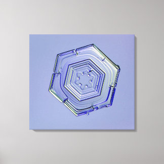 Schneeflocke 7 leinwanddruck