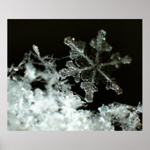 Schneeflocke-Blizzard 2009 Poster