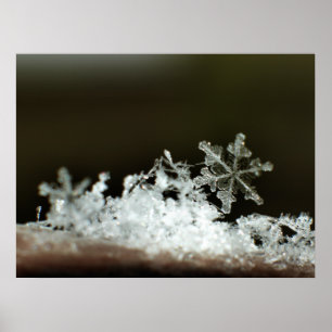 Schneeflocke-Blizzard 2009 Poster