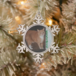 Schneeflocke Gerahmte Katze Ornament