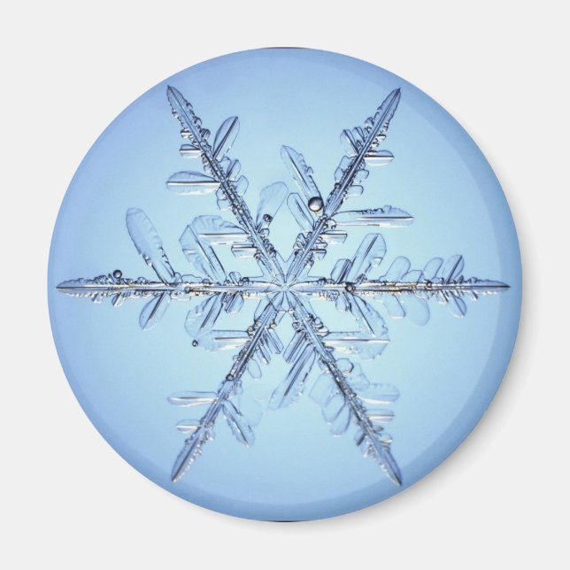Schneeflocke Magnet (Vorne)