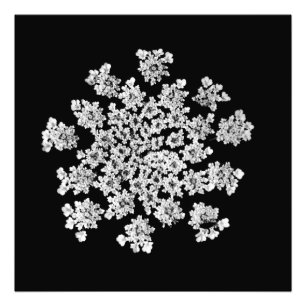 Schneeflocke-" photographischer Druck "der