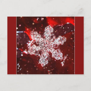 Schneeflocken-Foto-Postkarte Postkarte