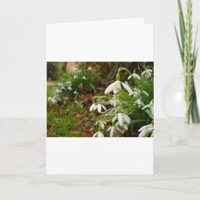 Schneeflocken Karte (Vorderseite)