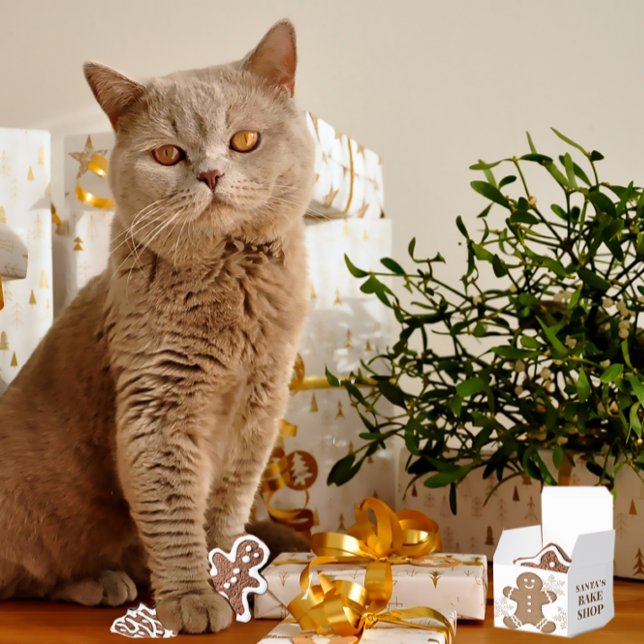Schneeflocken & Lebkuchen Keks Weihnachten Geschenkschachtel (Von Creator hochgeladen)