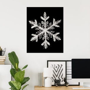 Schneeflocken Poster