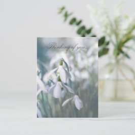 Schneeflocken Postkarte