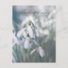 Schneeflocken Postkarte