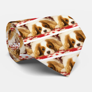 Schneefloh Cavalier King Charles Spaniel Krawatte