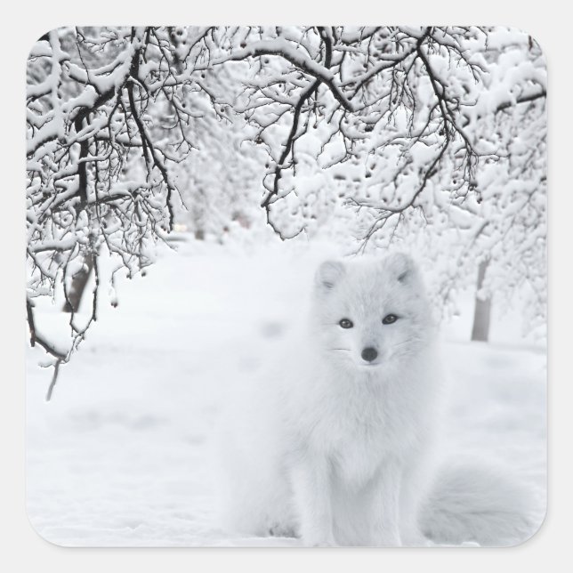Schneefräse im Winterwald Quadratischer Aufkleber (Vorderseite)