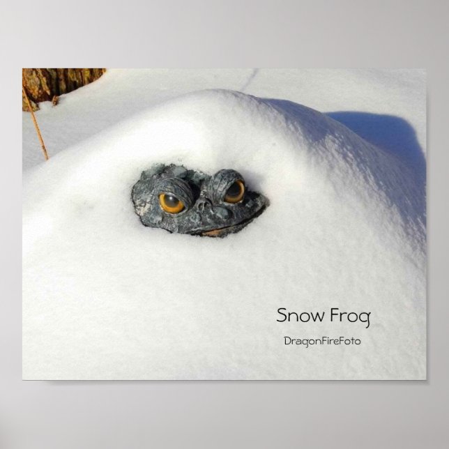 Schneefrosch Poster (Vorne)