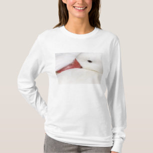 Schneegans Chen caerulescens T-Shirt