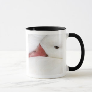 Schneegans Chen caerulescens Tasse