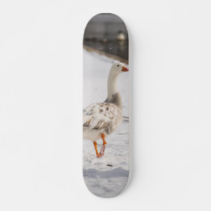 Schneegans-Schritt Skateboard