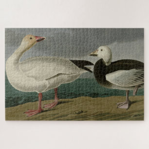 Schneegänse aus Audubons Vögeln Amerikas Puzzle