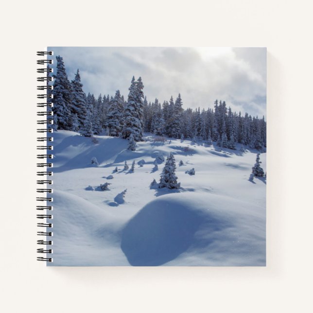 Schneegebiet Notizbuch (Vorderseite)