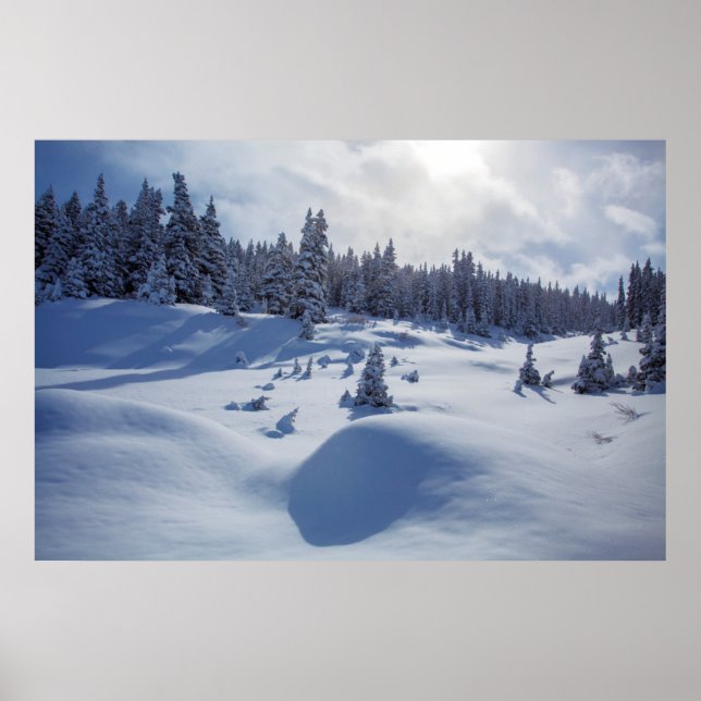 Schneegebiet Poster (Vorne)