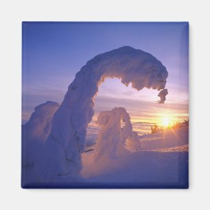 Schneegeister im Whitefish Range von Montana Magnet