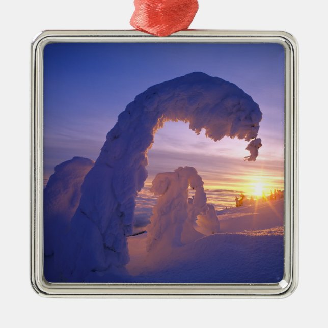 Schneegeister im Whitefish Range von Montana Ornament Aus Metall (Vorne)