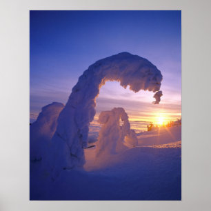 Schneegeister im Whitefish Range von Montana Poster