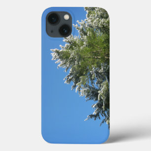 Schneegekrönte Kiefer vor blauem Himmel iPhone 13 Hülle