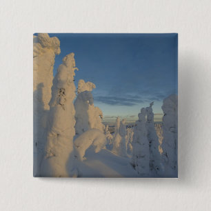 Schneeghost am Sonnenuntergang am Whitefish Mounta Button