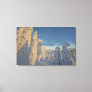 Schneeghost am Sonnenuntergang am Whitefish Mounta Leinwanddruck